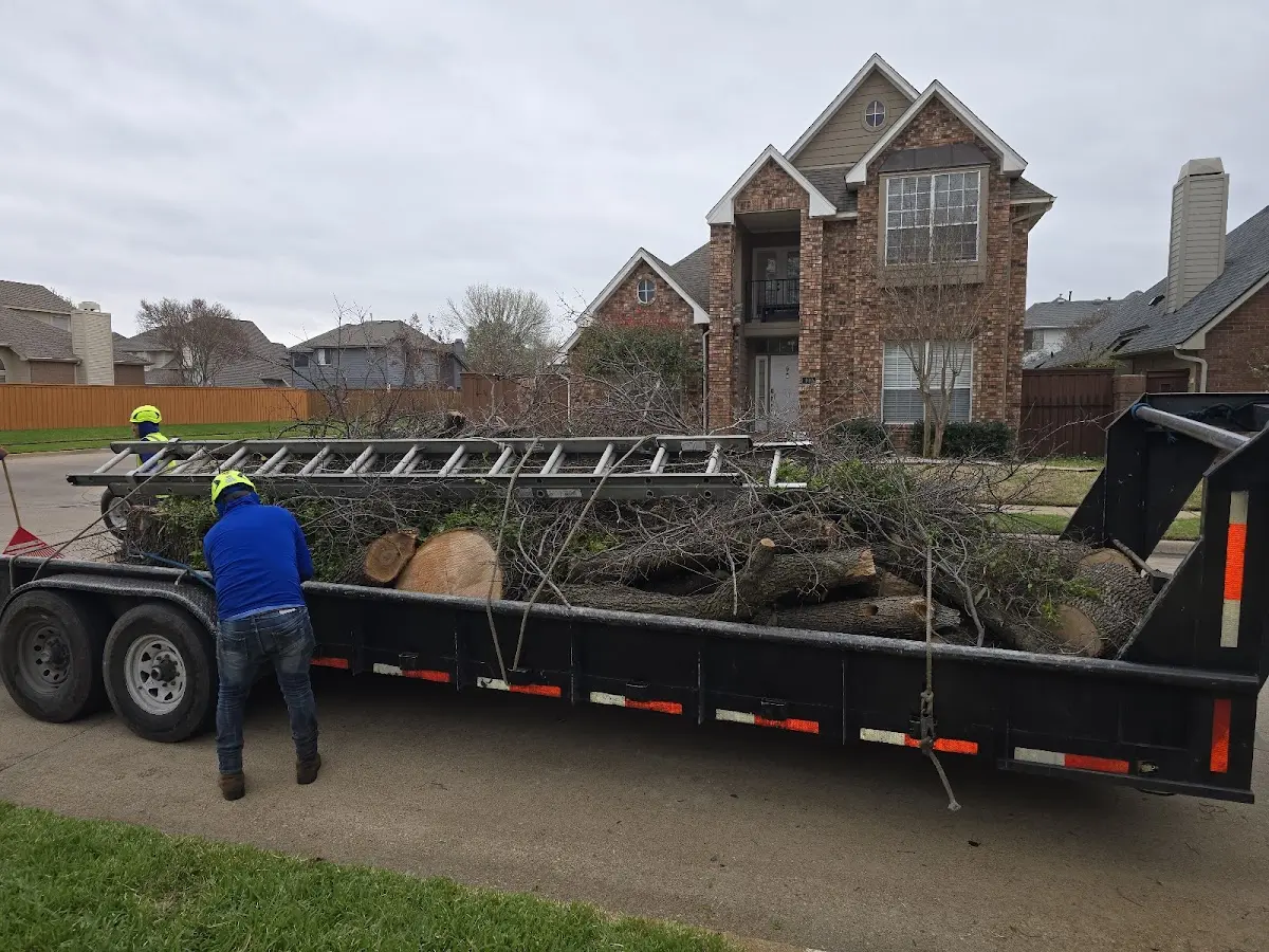 Expert Tree Pest Control with proper safety equipment in Gibbstown